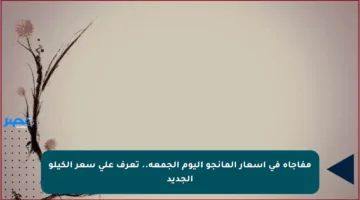 مفاجأة في أسعار المانجو اليوم الجمعة.. تعرف على سعر الكيلو الجديد